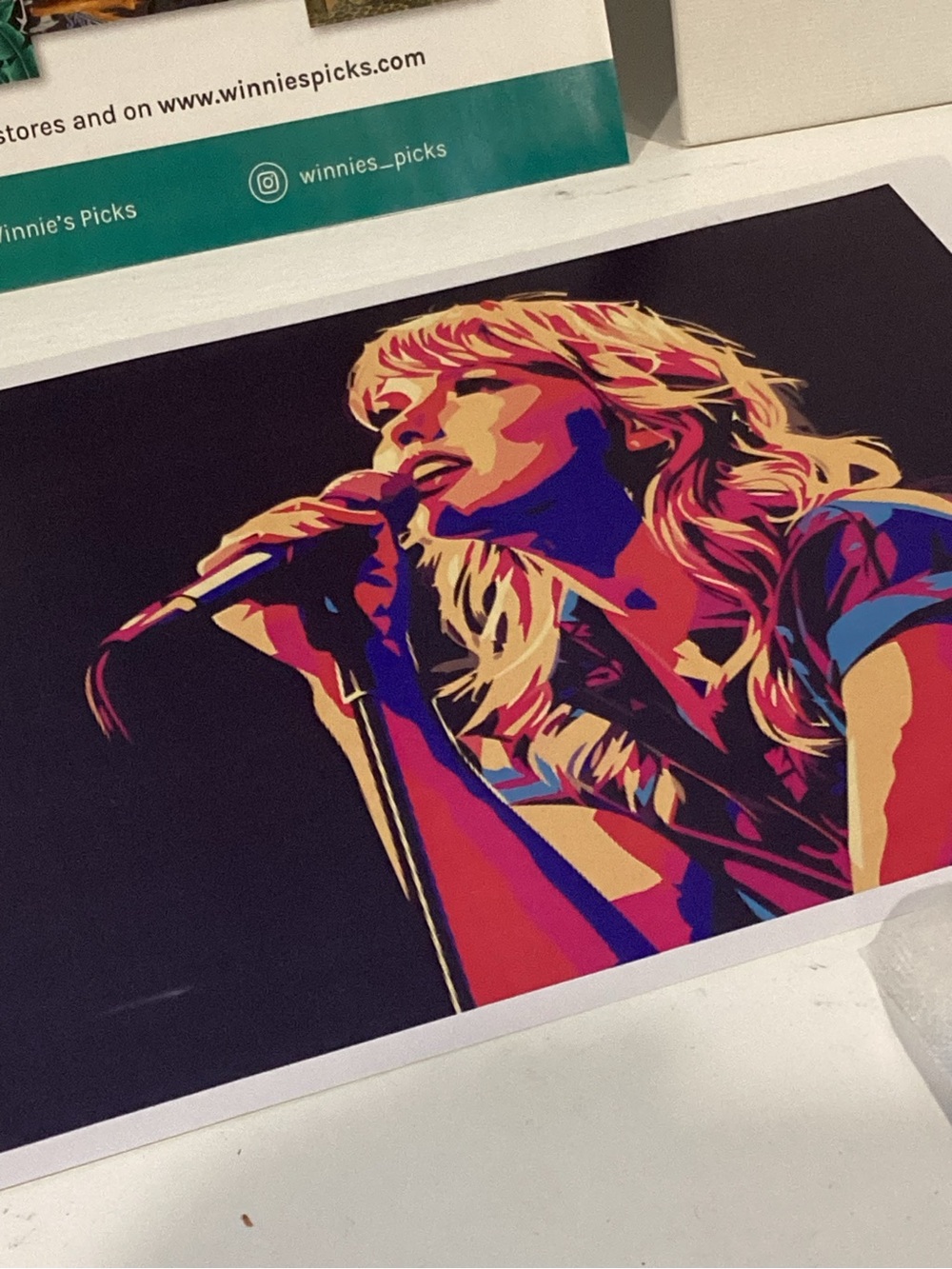 Taylor Singing In Colors Paint by Numbers - Multicolor - Picture 10 of 15